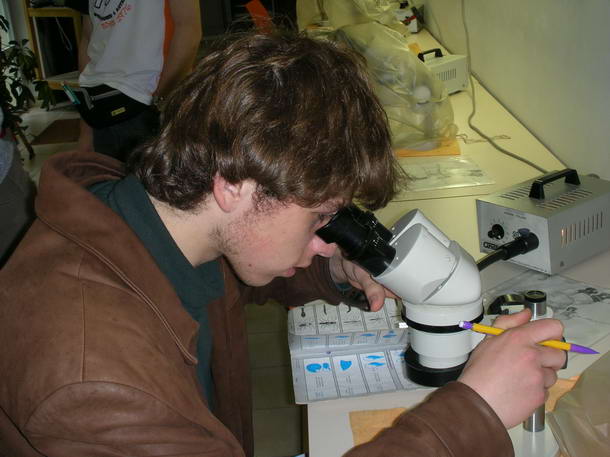 mirwart_2006_020