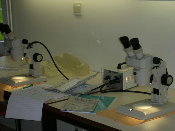 mirwart_2006_026