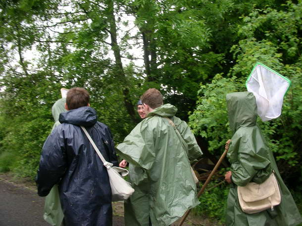 mirwart_2006_044